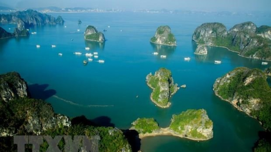 Better environment protection in Ha Long Bay urged for sustainable tourism